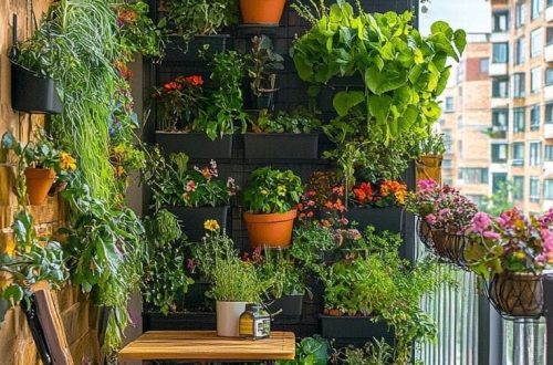 whatsapp image 2026 01 03 at 3.14.17 pm (3)